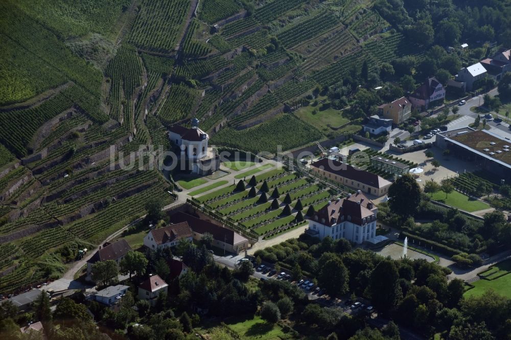 Radebeul aus der Vogelperspektive: Weinbergs- Landschaft der Winzer- Gebiete Sächsisches Staatsweingut GmbH Schloss Wackerbarth an der Wackerbarthstraße in Radebeul im Bundesland Sachsen