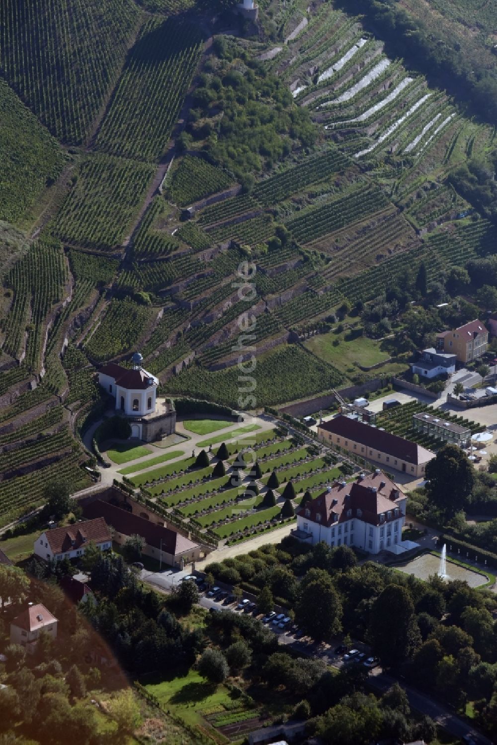 Radebeul von oben - Weinbergs- Landschaft der Winzer- Gebiete Sächsisches Staatsweingut GmbH Schloss Wackerbarth an der Wackerbarthstraße in Radebeul im Bundesland Sachsen