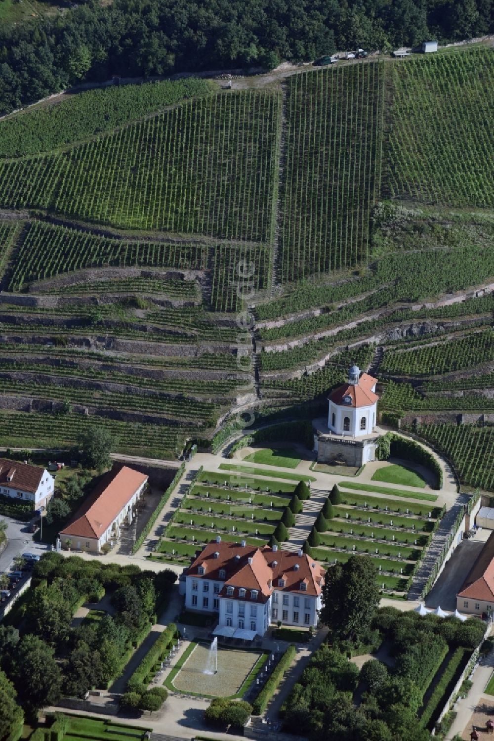 Luftaufnahme Radebeul - Weinbergs- Landschaft der Winzer- Gebiete Sächsisches Staatsweingut GmbH Schloss Wackerbarth an der Wackerbarthstraße in Radebeul im Bundesland Sachsen