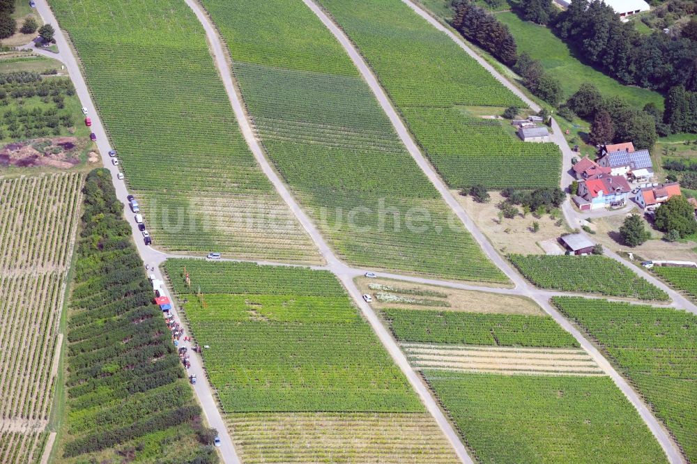 Sinzheim aus der Vogelperspektive: Weinbergs- Landschaft der Winzer- Gebiete in Sinzheim im Bundesland Baden-Württemberg, Deutschland