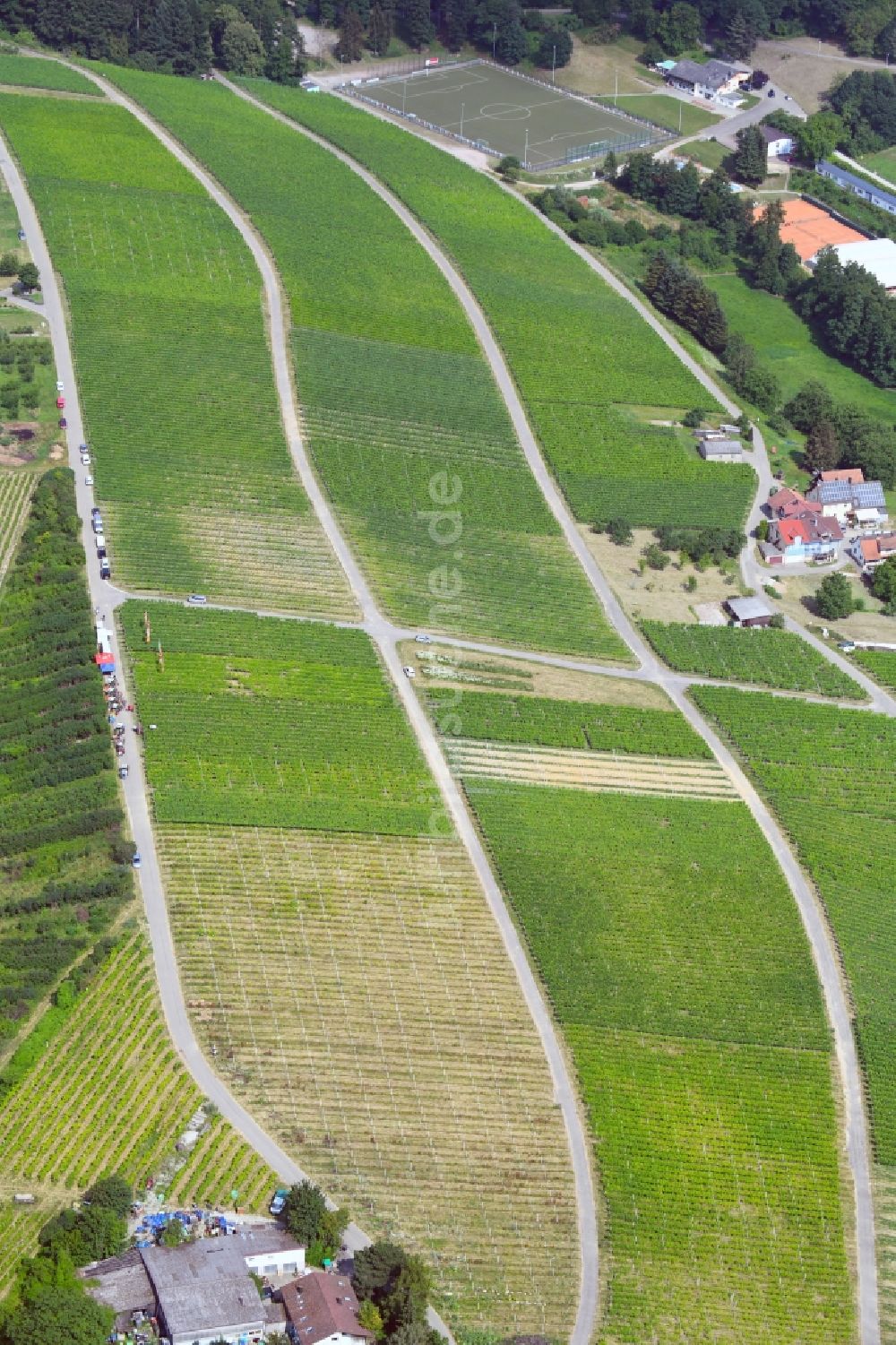 Luftbild Sinzheim - Weinbergs- Landschaft der Winzer- Gebiete in Sinzheim im Bundesland Baden-Württemberg, Deutschland