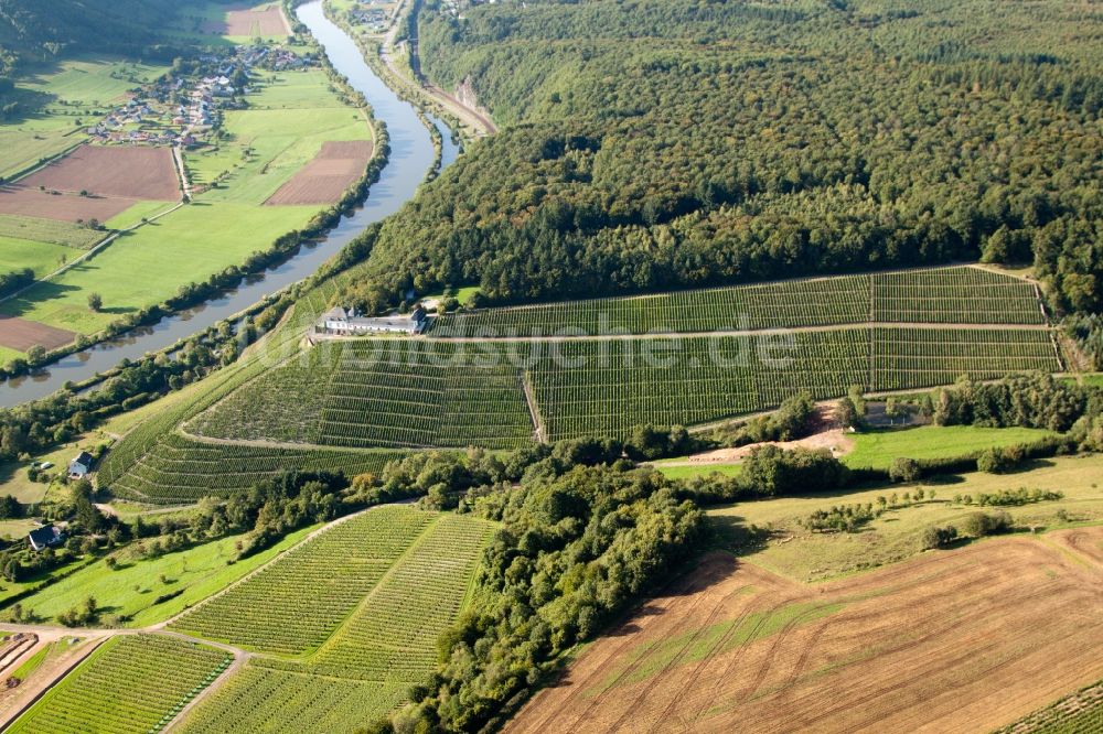 Luftaufnahme Serrig - Weinbergs- Landschaft der Winzer- Gebiete vom Weingut Schloss Saarstein in Serrig am Ufer der Saar im Bundesland Rheinland-Pfalz, Deutschland