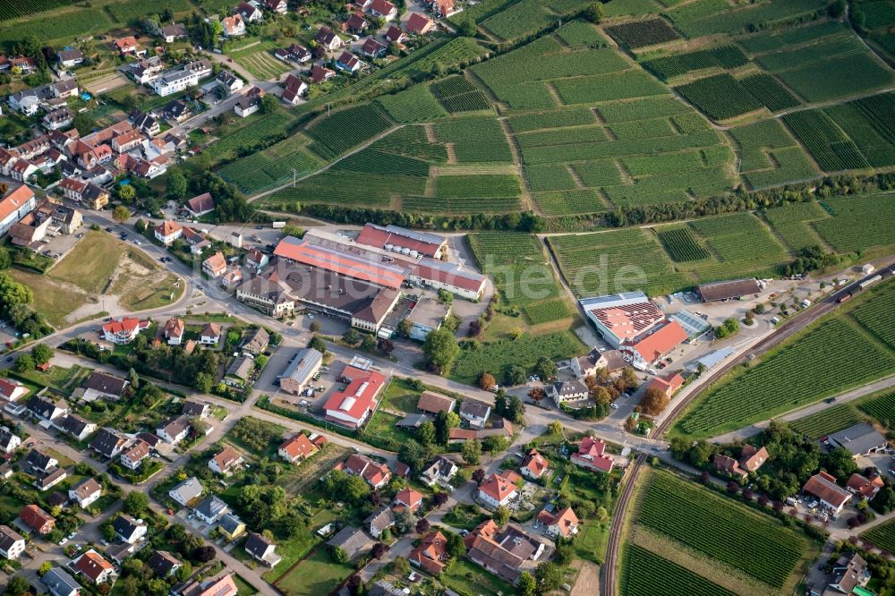 Luftaufnahme Vogtsburg im Kaiserstuhl - Weinbergs- Landschaft der Winzergenossenschaft Gebiete in Vogtsburg im Kaiserstuhl im Bundesland Baden-Württemberg, Deutschland