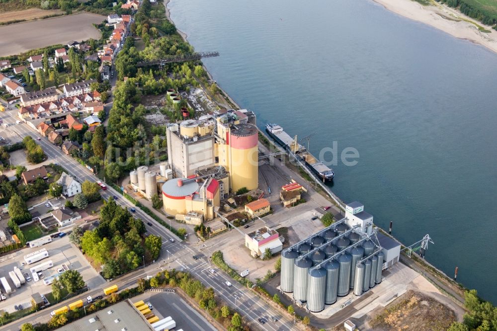 Rheindürkheim von oben - Werksgelände der Bamberger Mälzerei Beteiligungs GmbH Werk Worms in Rheindürkheim im Bundesland Rheinland-Pfalz, Deutschland