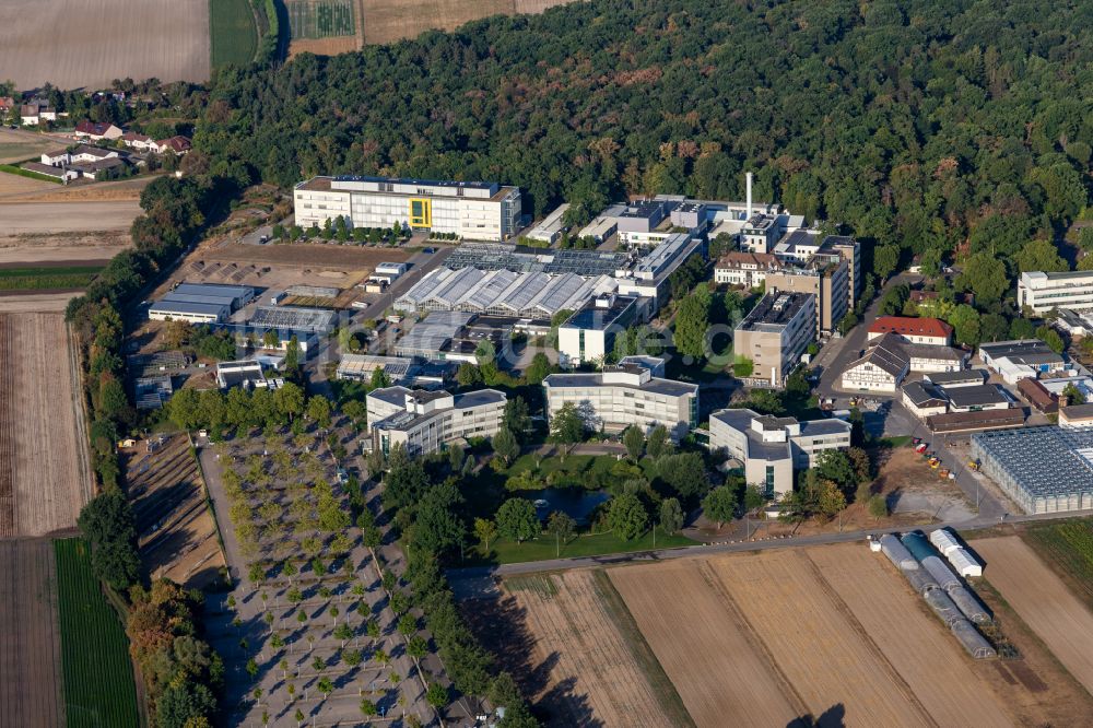 Luftbild Limburgerhof - Werksgelände des BASF Agricultural Center in Limburgerhof im Bundesland Rheinland-Pfalz, Deutschland