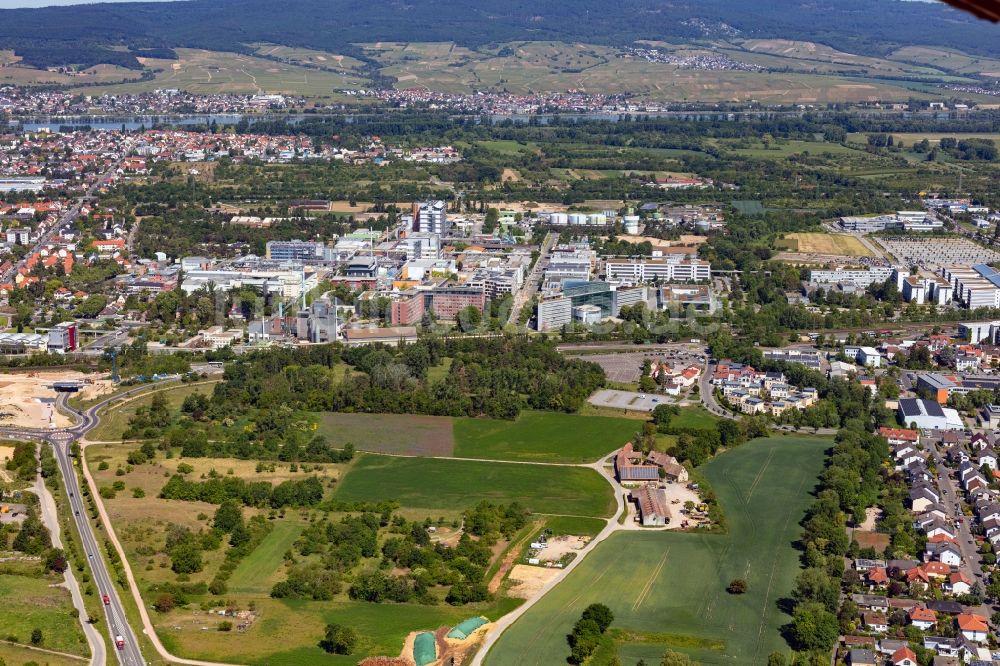 Luftbild Ingelheim am Rhein - Werksgelände der Boehringer Ingelheim Pharma GmbH & Co. KG in Ingelheim am Rhein im Bundesland Rheinland-Pfalz, Deutschland