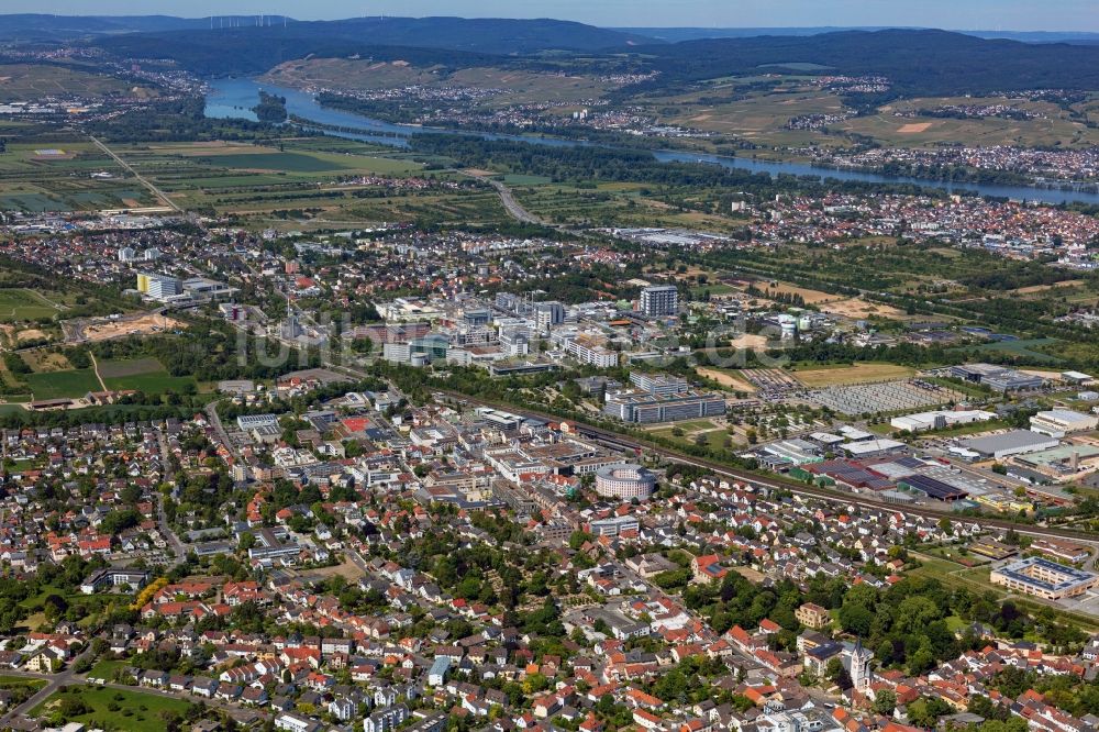 Luftbild Ingelheim am Rhein - Werksgelände der Boehringer Ingelheim Pharma GmbH & Co. KG in Ingelheim am Rhein im Bundesland Rheinland-Pfalz, Deutschland