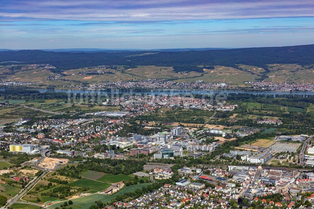 Ingelheim am Rhein aus der Vogelperspektive: Werksgelände der Boehringer Ingelheim Pharma GmbH & Co. KG in Ingelheim am Rhein im Bundesland Rheinland-Pfalz, Deutschland