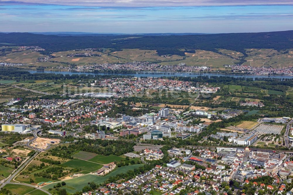 Luftbild Ingelheim am Rhein - Werksgelände der Boehringer Ingelheim Pharma GmbH & Co. KG in Ingelheim am Rhein im Bundesland Rheinland-Pfalz, Deutschland