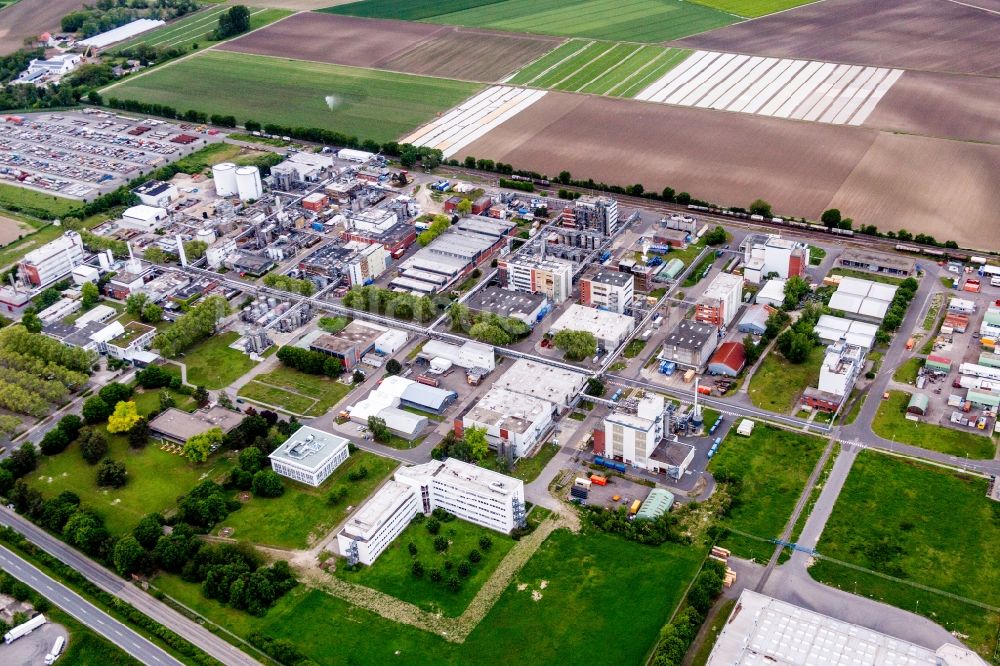 Lampertheim aus der Vogelperspektive: Werksgelände des Chemieproduzenten BASF Lampertheim GmbH in Lampertheim im Bundesland Hessen, Deutschland