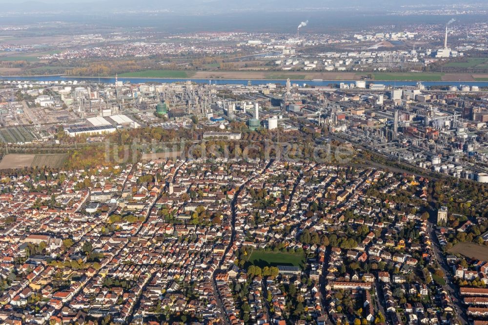 Ludwigshafen am Rhein aus der Vogelperspektive: Werksgelände des Chemieproduzenten BASF zwischen Rhein und Ortsteil Oppau in Ludwigshafen am Rhein im Bundesland Rheinland-Pfalz, Deutschland