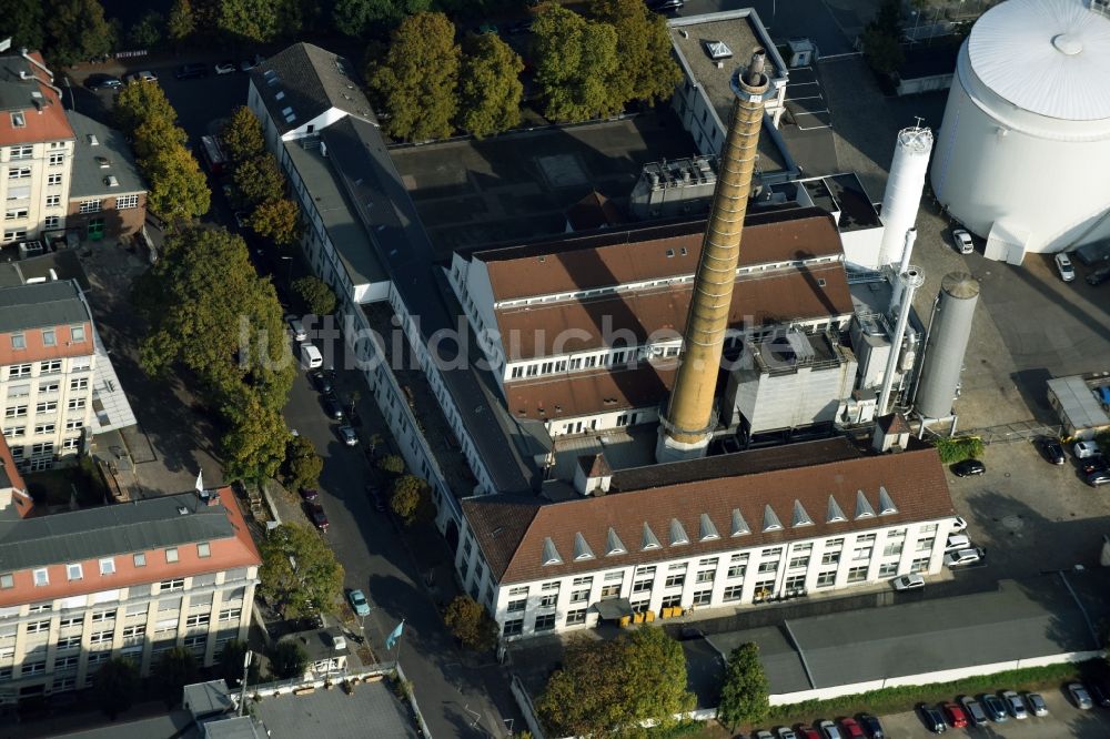 Luftbild Berlin - Werksgelände der Daume GmbH - Niederlassung Berlin an der Thiemannstraße in Berlin