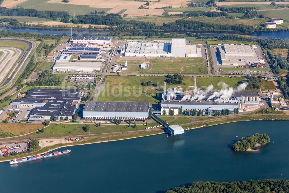 Wörth am Rhein von oben - Werksgelände der Firmengelände der Papierfabrik Palm GmbH & Co. KG in Wörth am Rhein im Bundesland Rheinland-Pfalz, Deutschland