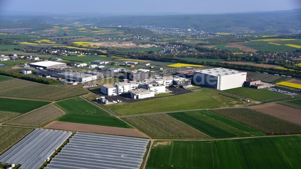 Grafschaft von oben - Werksgelände der Haribo GmbH in Grafschaft im Bundesland Rheinland-Pfalz, Deutschland