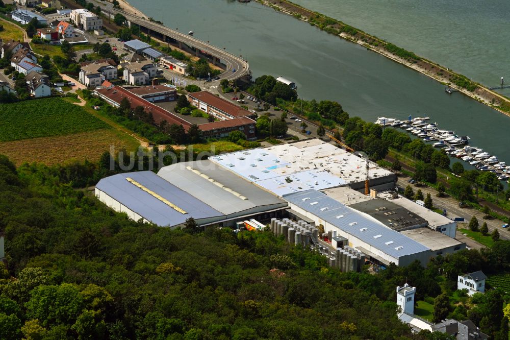 Bingen am Rhein aus der Vogelperspektive: Werksgelände der Rheinberg Kellerei GmbH in Bingen am Rhein im Bundesland Rheinland-Pfalz, Deutschland