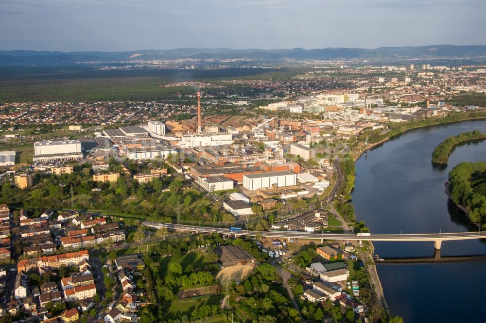 Mannheim aus der Vogelperspektive: Werksgelände der SCA HYGIENE PRODUCTS GmbH am Althrein im Ortsteil Waldhof in Mannheim im Bundesland Baden-Württemberg, Deutschland