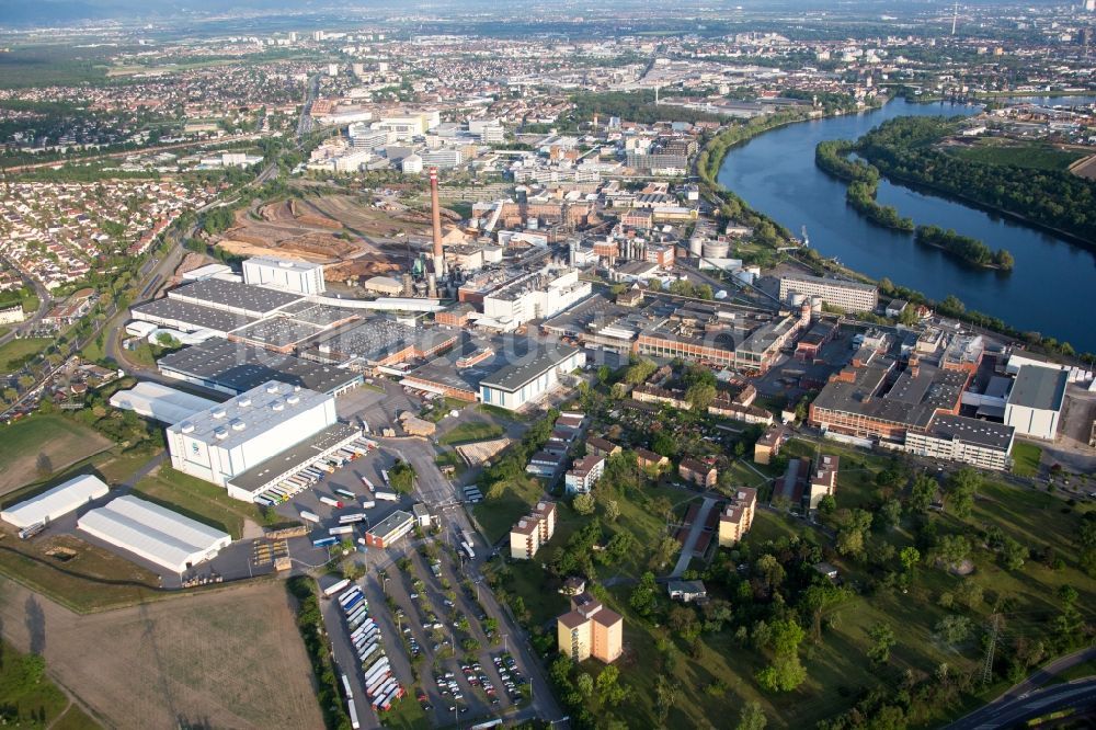 Mannheim aus der Vogelperspektive: Werksgelände der SCA HYGIENE PRODUCTS GmbH am Althrein im Ortsteil Waldhof in Mannheim im Bundesland Baden-Württemberg, Deutschland