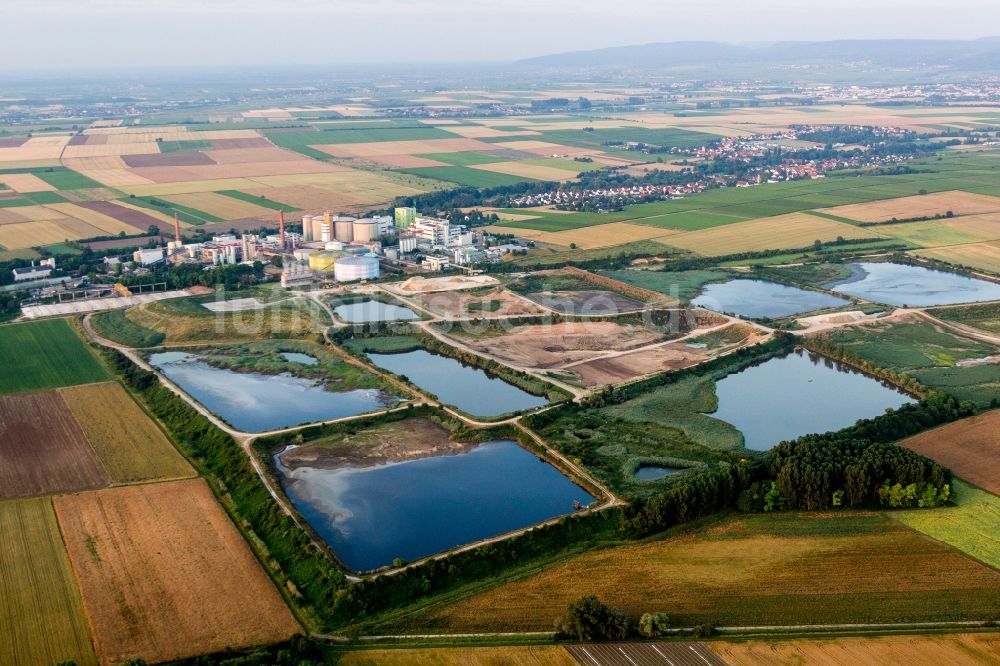 Obrigheim (Pfalz) aus der Vogelperspektive: Werksgelände der Südzucker AG Mannheim/Ochsenfurt und Verklappungsbecken im Ortsteil Neuoffstein in Obrigheim (Pfalz) im Bundesland Rheinland-Pfalz, Deutschland