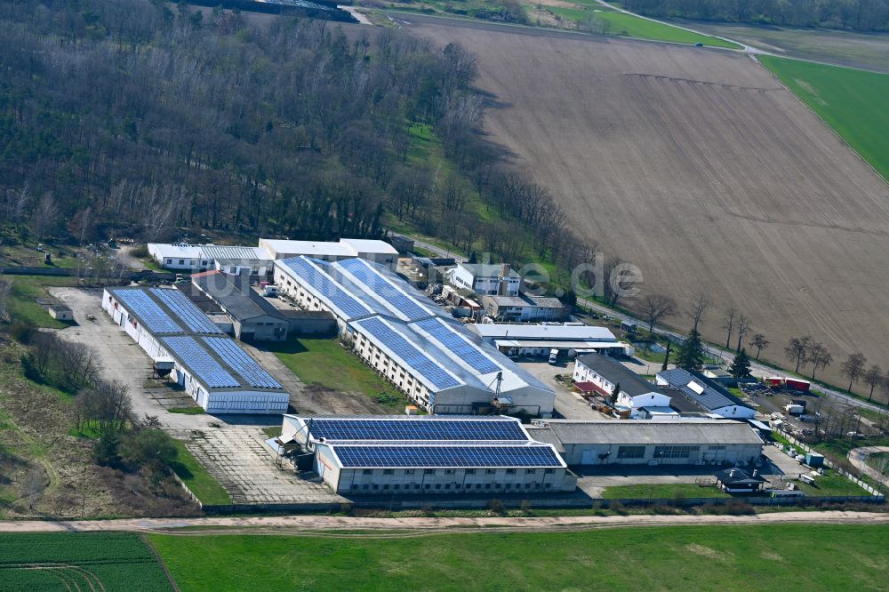 Luftbild Dessau - Werksgelände Stahlmöbel Dessau GmbH in Dessau im Bundesland Sachsen-Anhalt, Deutschland