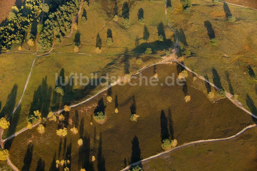 Luftaufnahme Haltern am See - Westruper Heide in Haltern am See im Bundesland Nordrhein-Westfalen