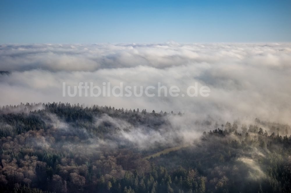 Luftaufnahme Lengenbeck - Wetterlage mit schichtartiger Nebel- Bedeckung über Waldgebieten in Lengenbeck im Bundesland Nordrhein-Westfalen, Deutschland