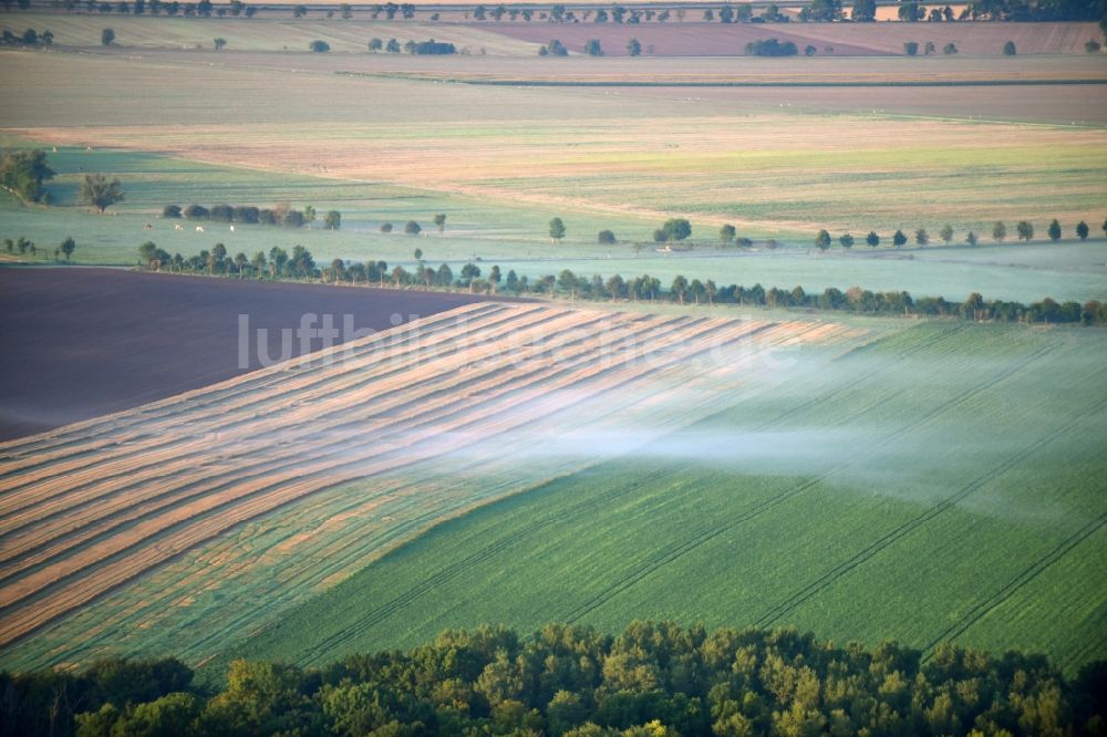 Rathmannsdorf aus der Vogelperspektive: Wetterlage mit schichtartiger Nebel- Bedeckung auf einer Feld- Landschaft in Rathmannsdorf im Bundesland Sachsen-Anhalt, Deutschland