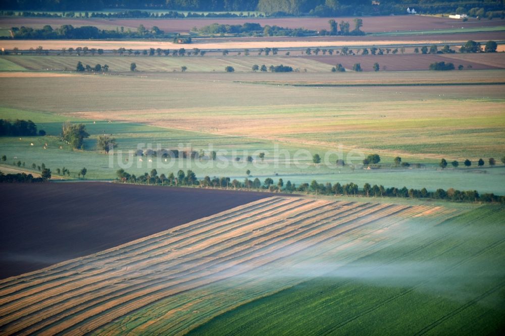 Luftbild Rathmannsdorf - Wetterlage mit schichtartiger Nebel- Bedeckung auf einer Feld- Landschaft in Rathmannsdorf im Bundesland Sachsen-Anhalt, Deutschland