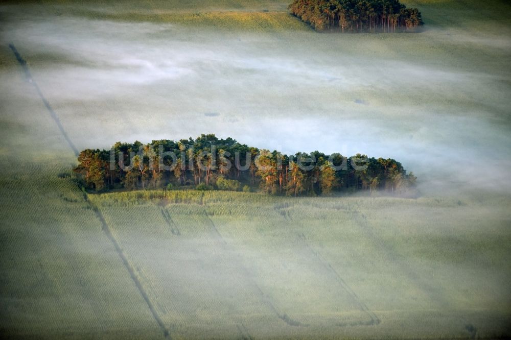 Wiesenburg/Mark aus der Vogelperspektive: Wetterlage mit schichtartiger Nebel- Bedeckung in einer Feld- Landschaft in Wiesenburg/Mark im Bundesland Brandenburg, Deutschland