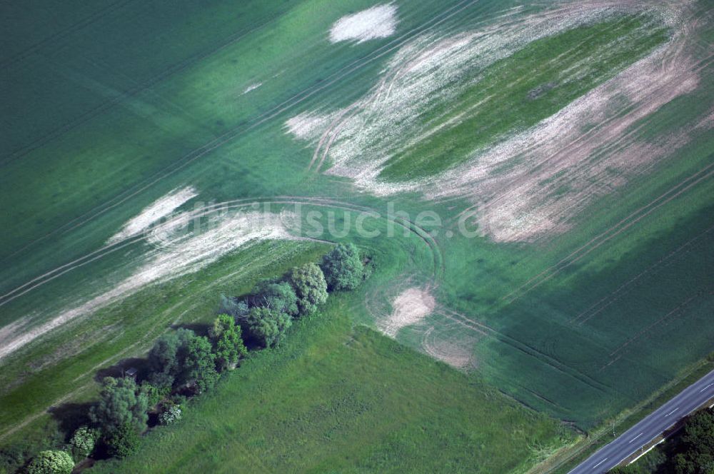 Luftaufnahme Zaschwitz - Wetterschäden auf einem Feld an der Saale nahe dem Dorf Zaschwitz