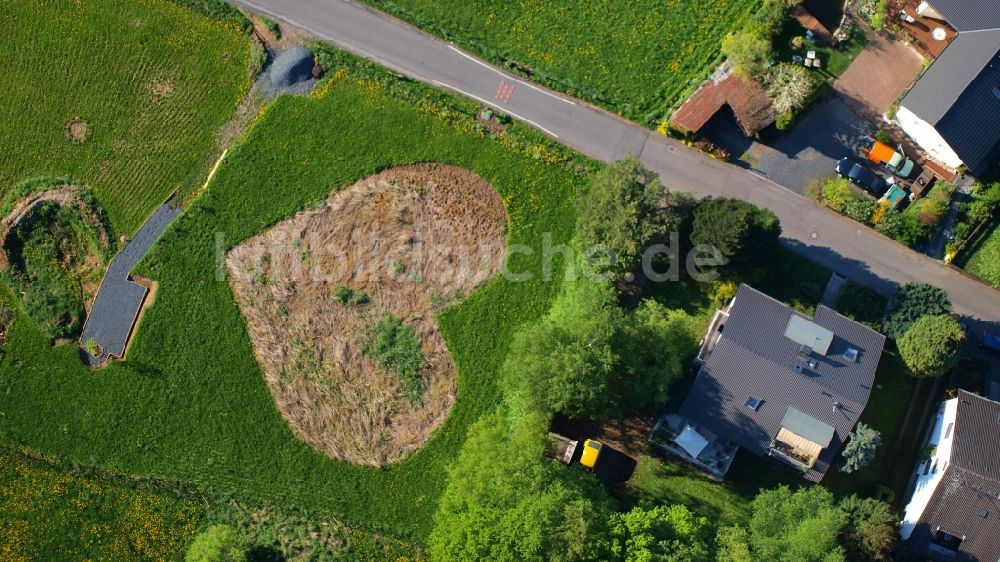 Luftbild Königswinter - Wiese in Herzform in Königswinter-Rauschendorf im Bundesland Nordrhein-Westfalen, Deutschland