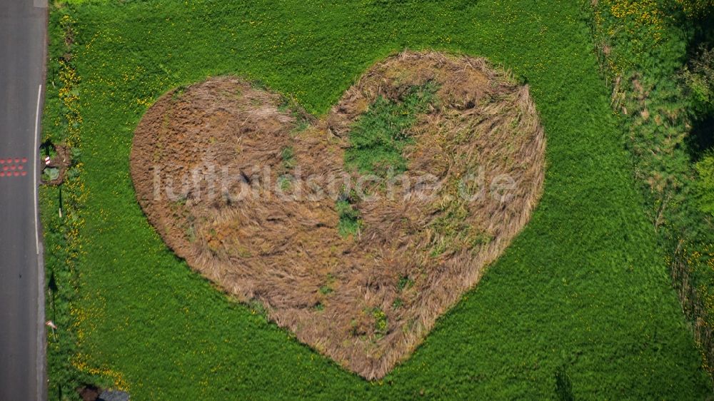 Königswinter von oben - Wiese in Herzform in Königswinter-Rauschendorf im Bundesland Nordrhein-Westfalen, Deutschland