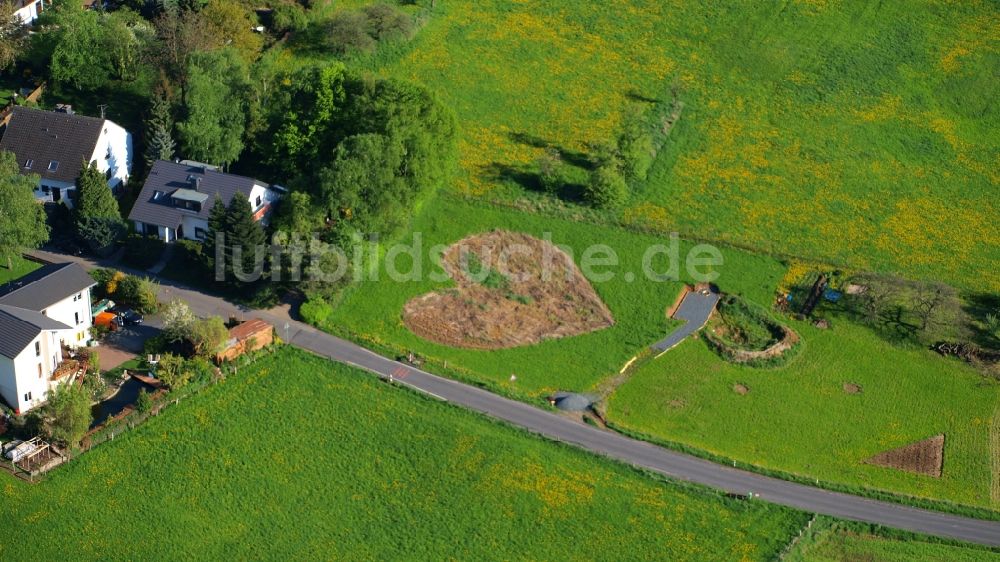 Königswinter aus der Vogelperspektive: Wiese in Herzform in Königswinter-Rauschendorf im Bundesland Nordrhein-Westfalen, Deutschland