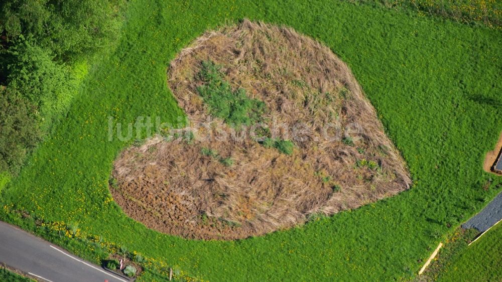 Luftbild Königswinter - Wiese in Herzform in Königswinter-Rauschendorf im Bundesland Nordrhein-Westfalen, Deutschland