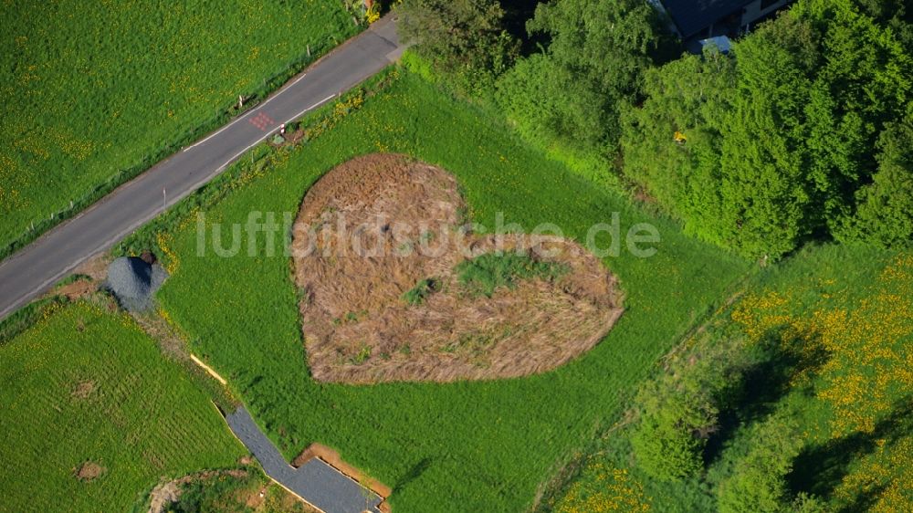 Luftaufnahme Königswinter - Wiese in Herzform in Königswinter-Rauschendorf im Bundesland Nordrhein-Westfalen, Deutschland