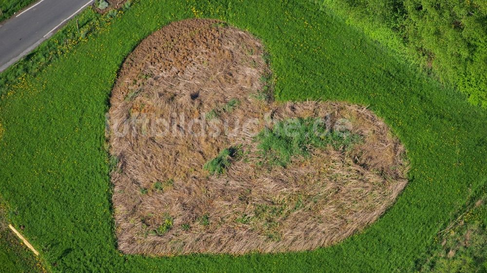 Königswinter von oben - Wiese in Herzform in Königswinter-Rauschendorf im Bundesland Nordrhein-Westfalen, Deutschland