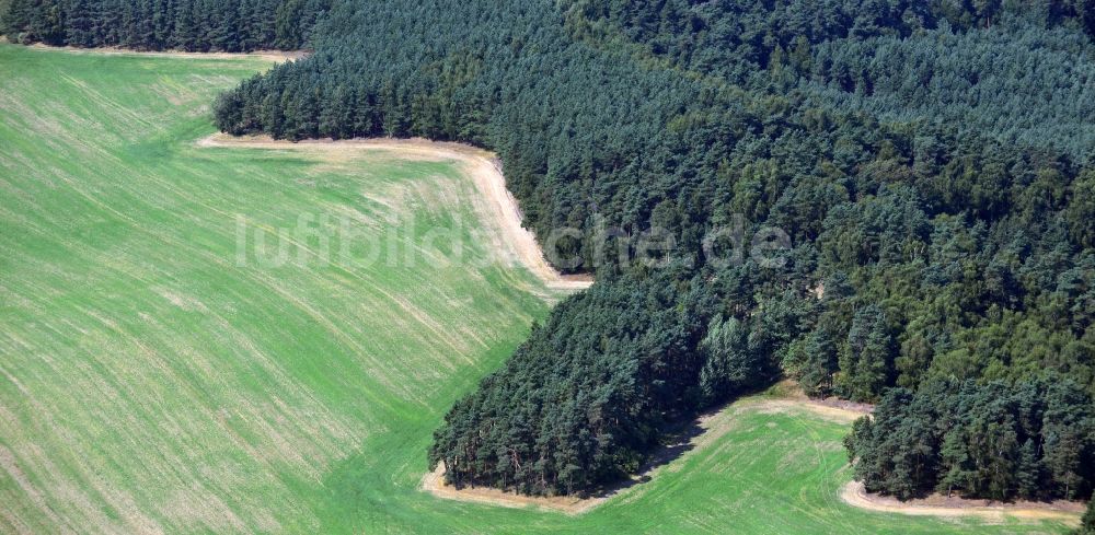 Luftbild Ortrand - Wiesen- Feld an einem Waldrand bei Ortrand im Bundesland Brandenburg