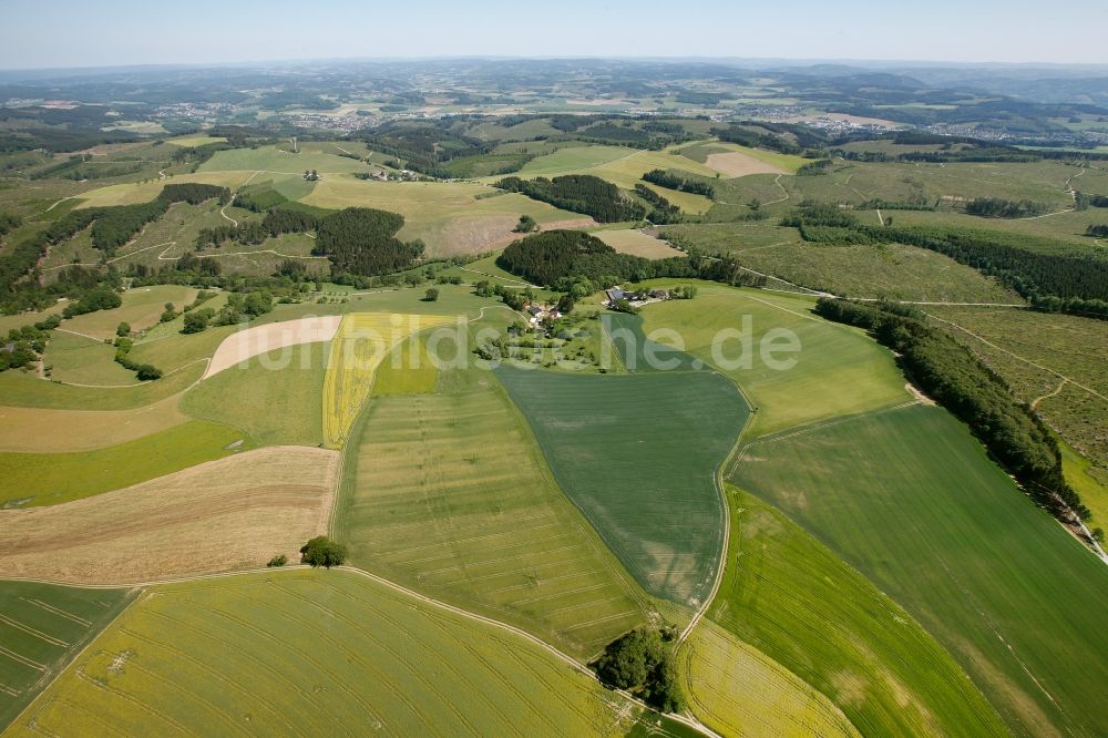 Hemer von oben - Wiesen und Feld- Landschaft bei Hemer im Bundesland Nordrhein-Westfalen