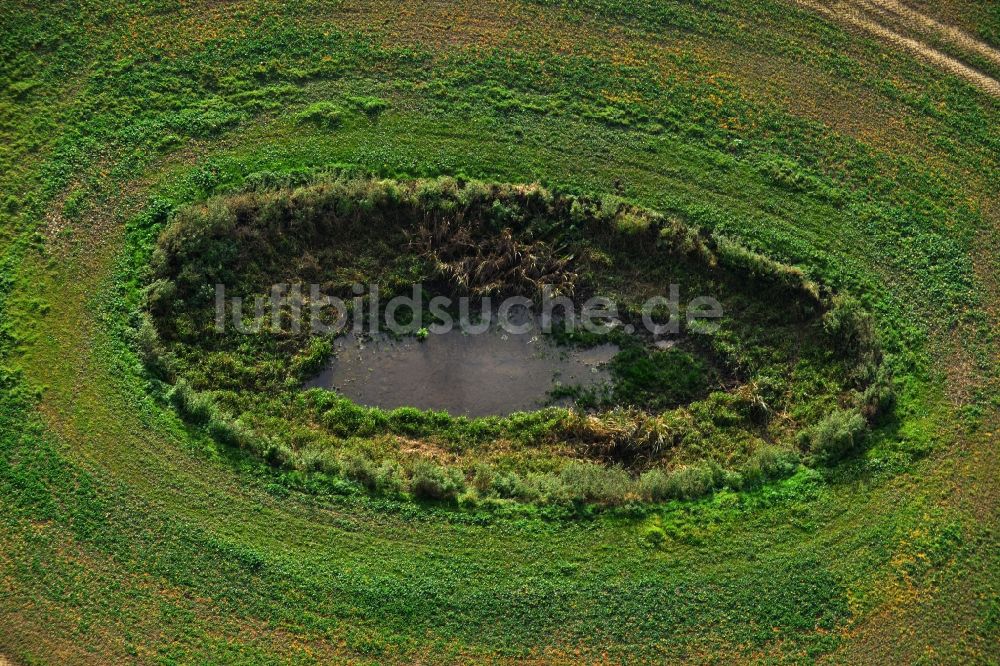 Schönhausen von oben - Wiesen- und Feld- Tümpel in der wellenförmigen Landschaft bei Schönhausen im Bundesland Mecklenburg-Vorpommern