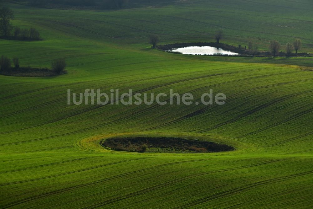 Schönhausen von oben - Wiesen- und Feld- Tümpel in der wellenförmigen Landschaft bei Schönhausen im Bundesland Mecklenburg-Vorpommern