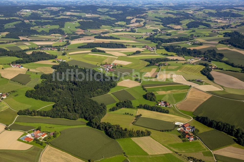 Edenwiesen von oben - Wiesen und Felder um Edenwiesen im Bundesland Oberösterreich in Österreich