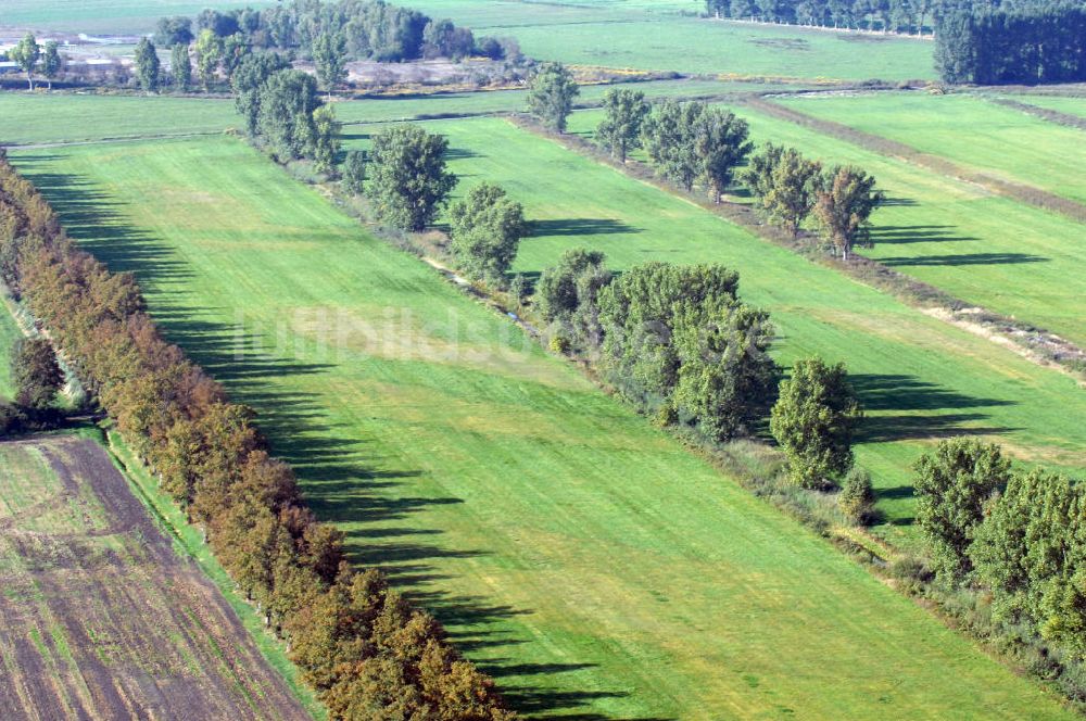 Luftbild Utershorst - Wiesenflächen und Melorationsflächen Am Kanal in Utershorst