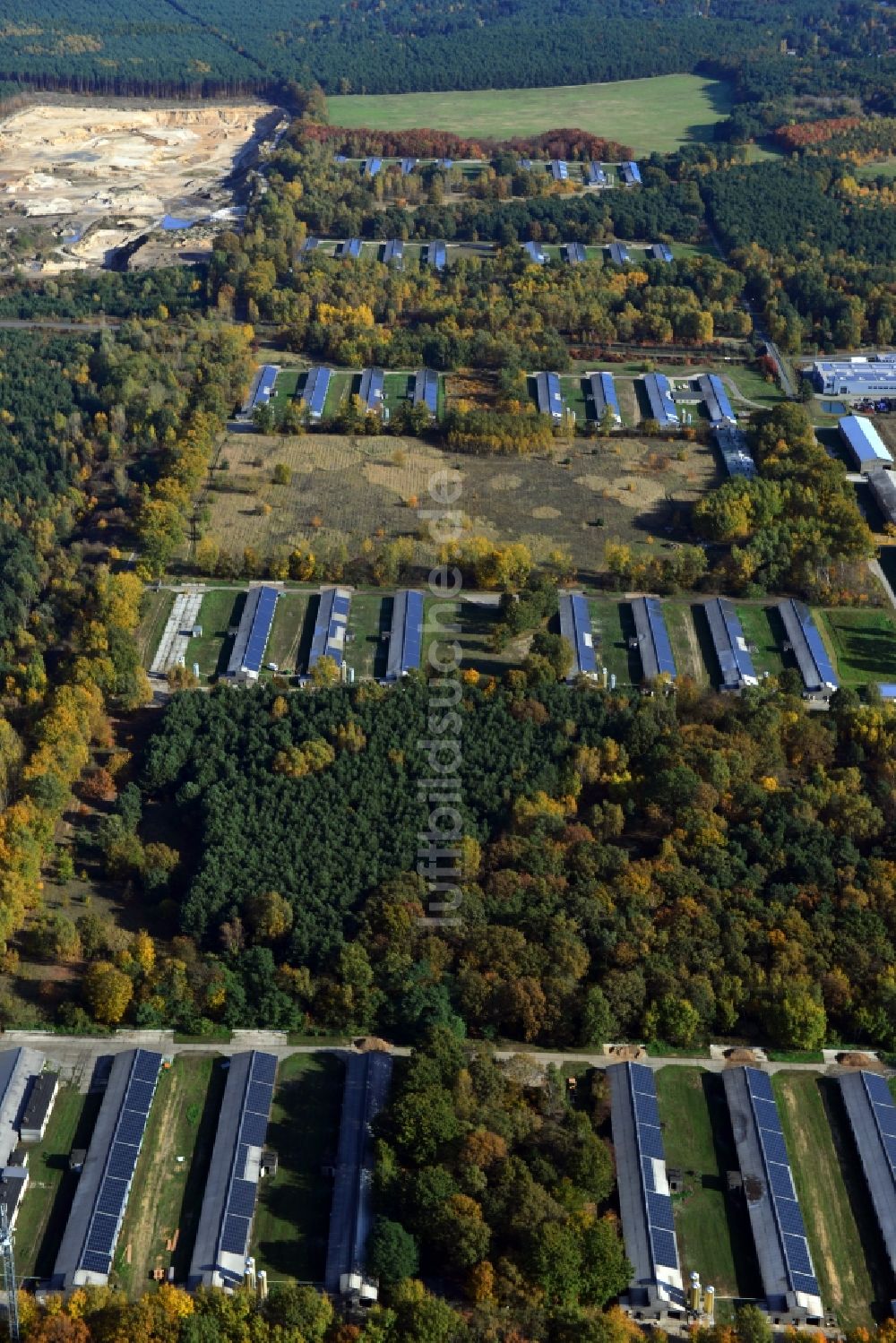 Zernsdorf aus der Vogelperspektive: Wiesenhof- Geflügelbetrieb Mastanlage am Segelfliegerdamm in Zernsdorf im Bundesland Brandenburg