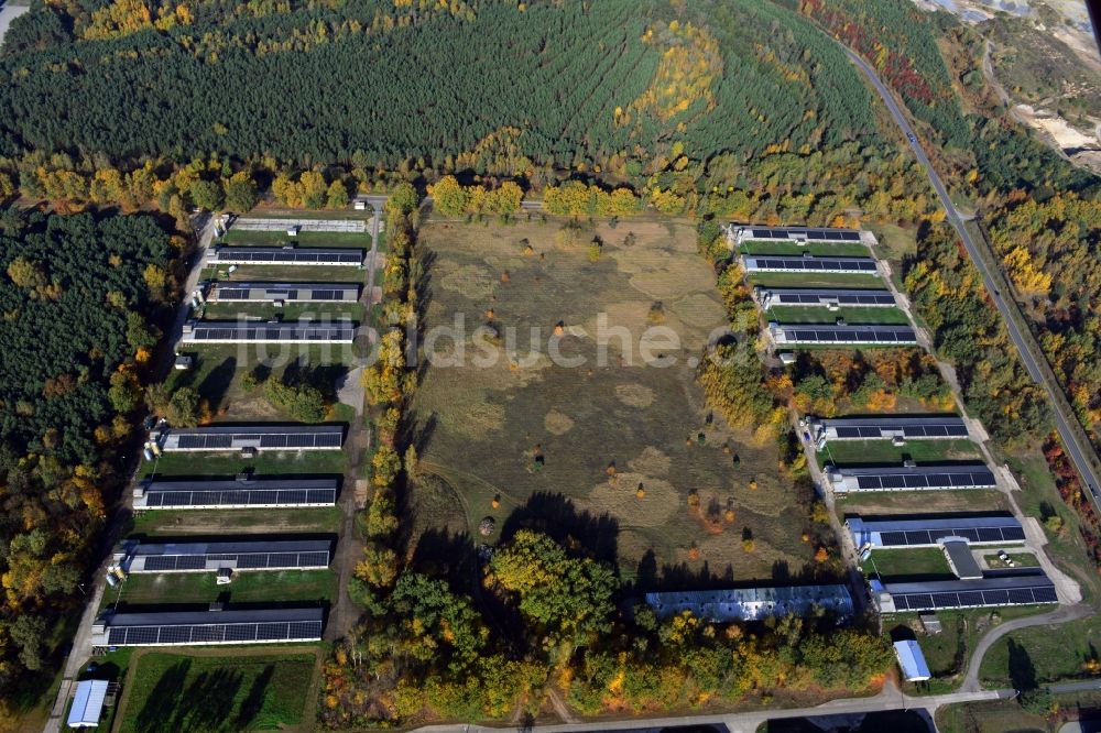 Luftaufnahme Zernsdorf - Wiesenhof- Geflügelbetrieb Mastanlage am Segelfliegerdamm in Zernsdorf im Bundesland Brandenburg