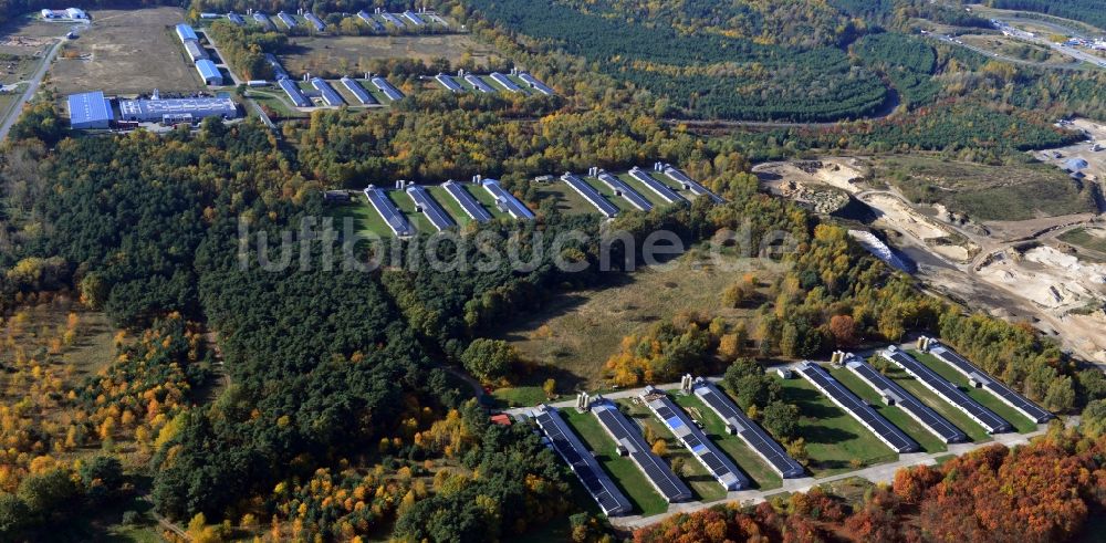 Luftbild Zernsdorf - Wiesenhof- Geflügelbetrieb Mastanlage am Segelfliegerdamm in Zernsdorf im Bundesland Brandenburg