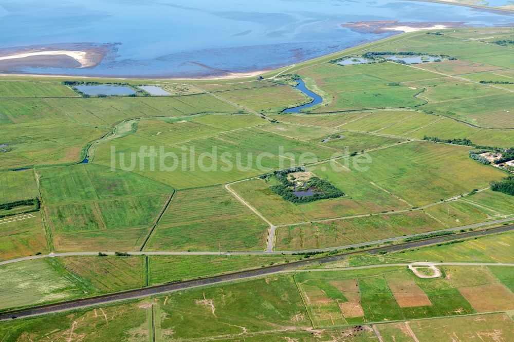 Sylt von oben - Wiesenland Ansicht von Archsum im Bundesland Schleswig-Holstein