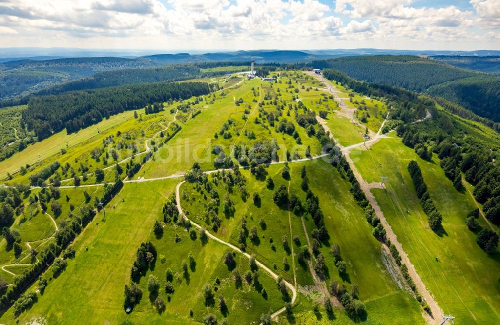 Willingen (Upland) aus der Vogelperspektive: Wiesenlandschaft am Ettelsberg in Willingen (Upland) im Bundesland Hessen, Deutschland