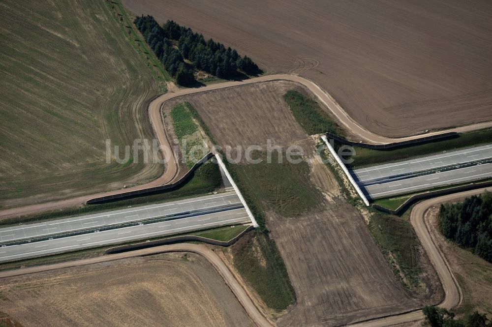 Frauendorf von oben - Wildbrücke / Grünbrücke über die Autobahn BAB A72 bei Frauendorf im Bundesland Sachsen