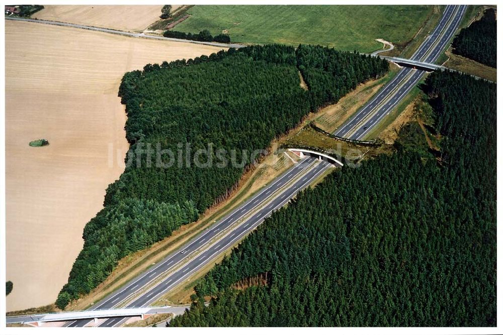 bei Wismar / Mecklenburg - Vorpommern von oben - Wildbrückenbereich an der A20 südöstlich von Wismar.