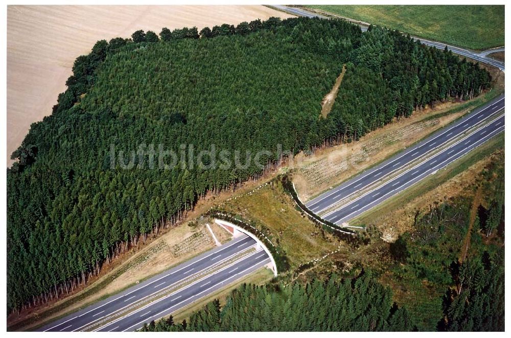 bei Wismar / Mecklenburg - Vorpommern aus der Vogelperspektive: Wildbrückenbereich an der A20 südöstlich von Wismar.