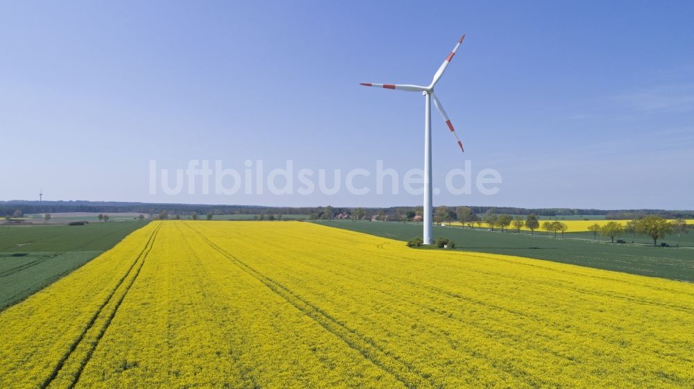 Reinstorf von oben - Windenergieanlage (WEA) - Windrad- auf einem Rapsfeld in Sülbeck im Bundesland Niedersachsen